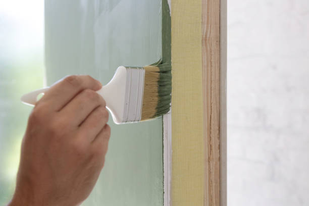 Professional Mold Removal in Christopher, IL