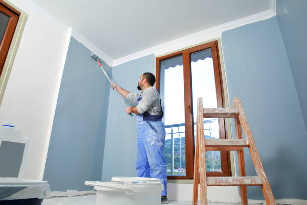 Best Air Quality Testing for Mold Spores  in Christopher, IL