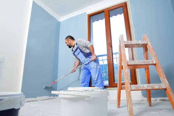 Best Post-Construction Mold Inspection  in Christopher, IL