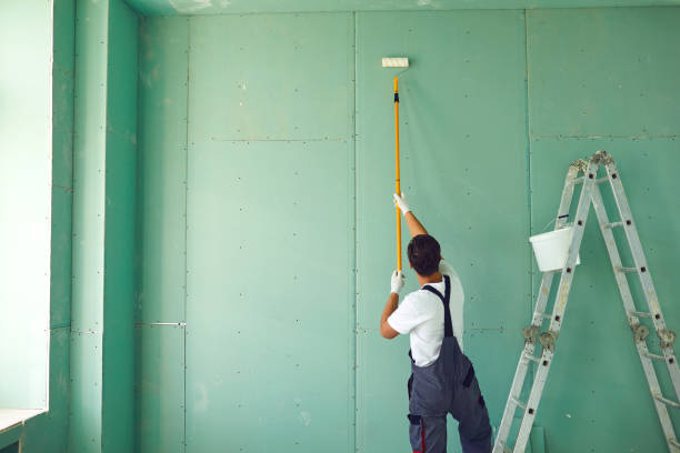 Best Airborne Mold Testing  in Christopher, IL