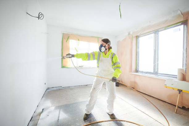 Best Emergency Mold Remediation  in Christopher, IL