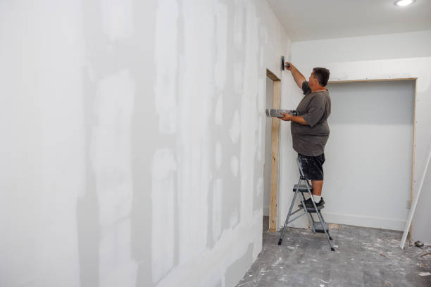 Best Commercial Mold Inspection  in Christopher, IL