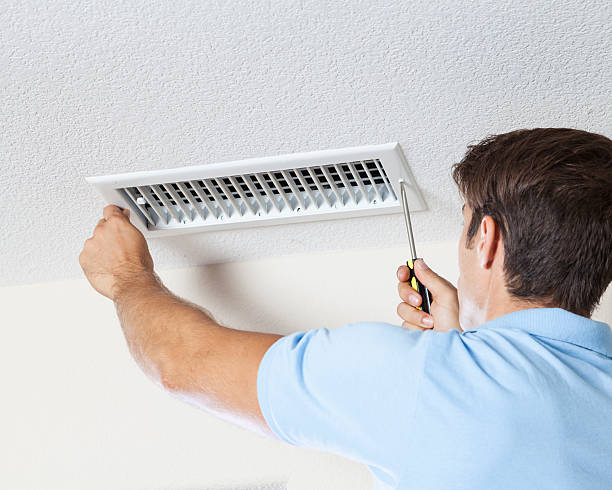 Best Black Mold Removal  in Christopher, IL
