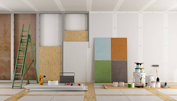 Best Mold Damage Restoration  in Christopher, IL