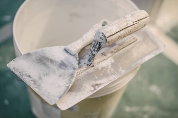 Best Mold Prevention Services  in Christopher, IL